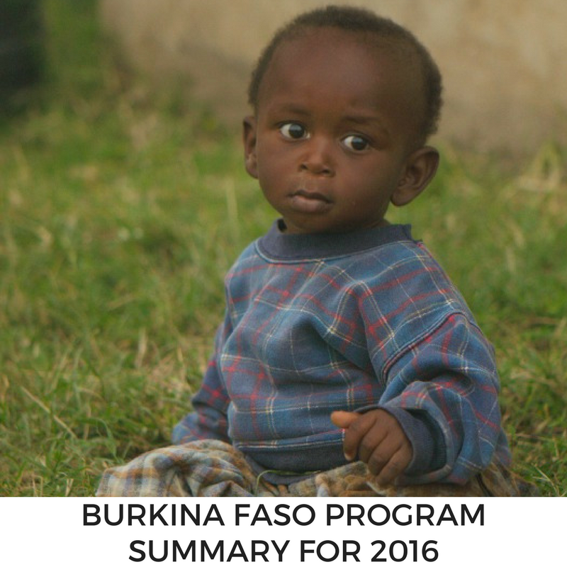 Program Summary for MLJ's Burkina Faso program in 2016.