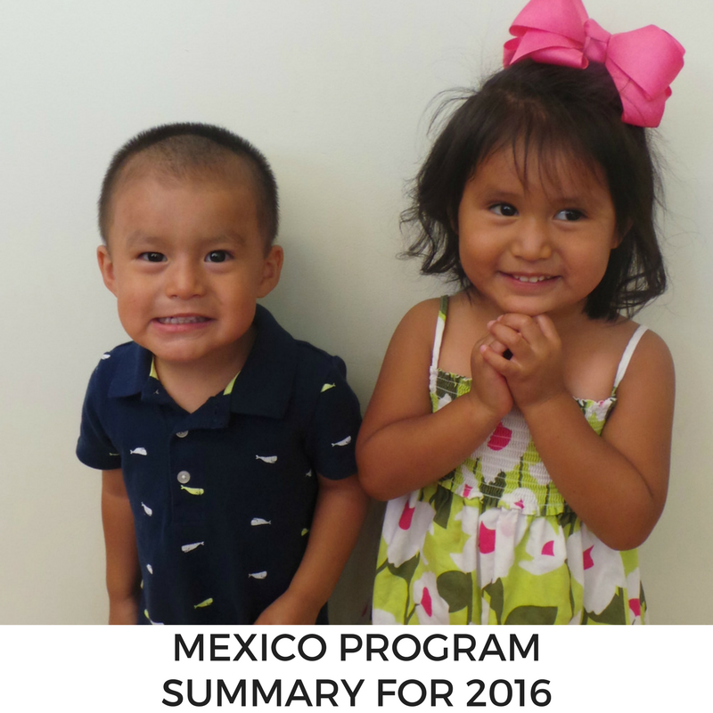 Mexico Program Summary for 2016